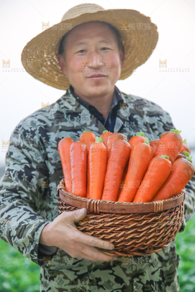 手里拿着胡萝卜