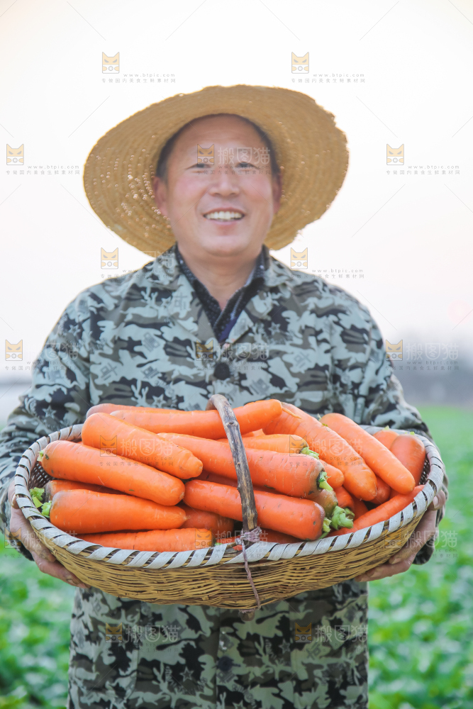 手里拿着胡萝卜