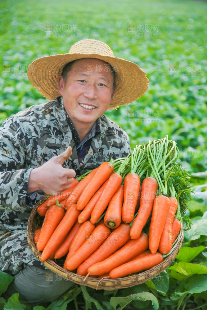 手里拿着胡萝卜