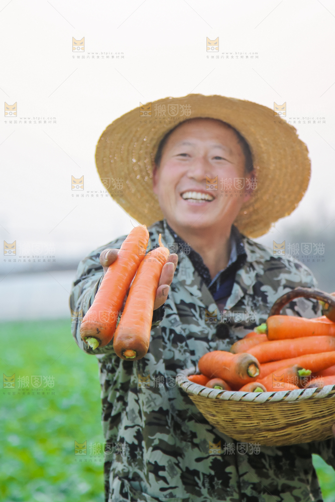 手里拿着胡萝卜