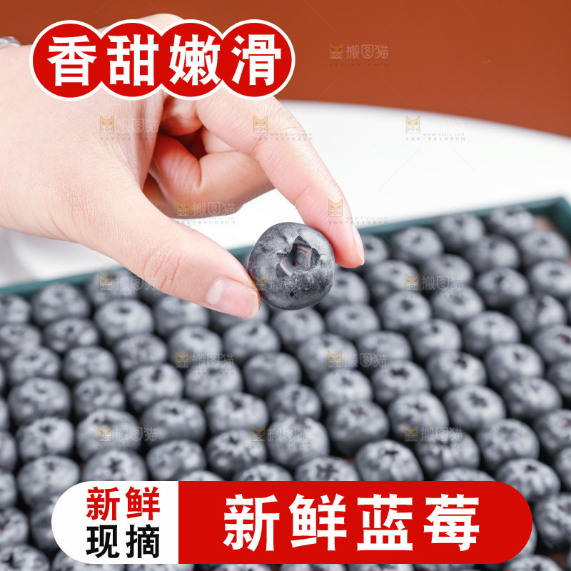浅底上的新鲜蓝莓