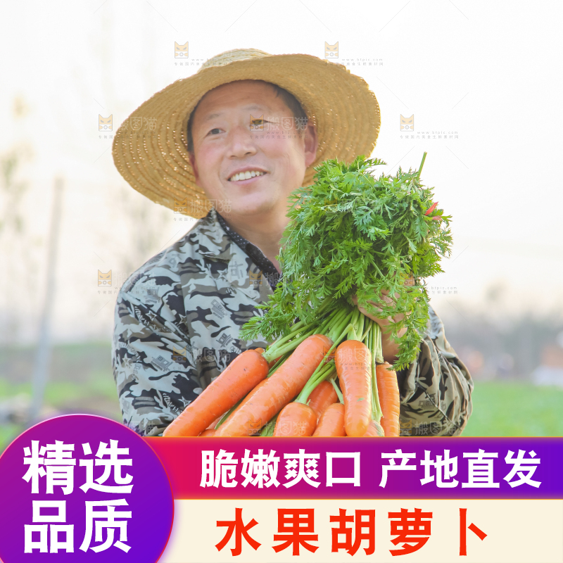 手里拿着胡萝卜