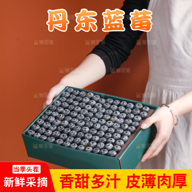 浅底上的新鲜蓝莓