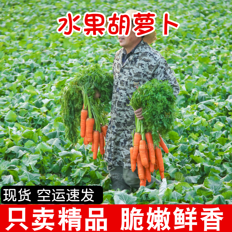 手里拿着胡萝卜
