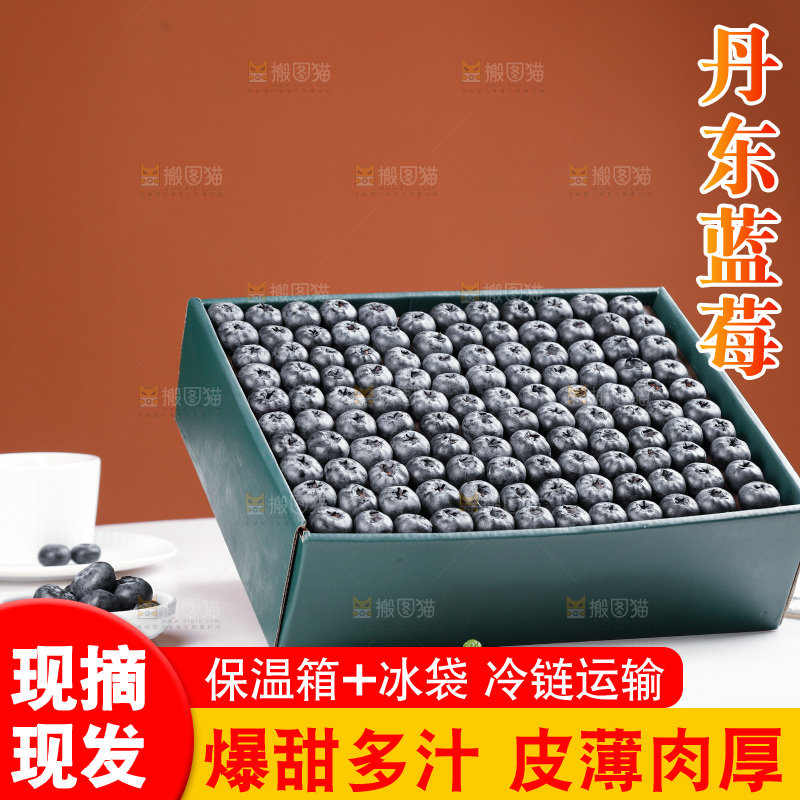 浅底上的新鲜蓝莓