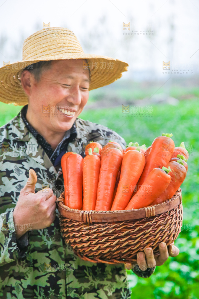 手里拿着胡萝卜