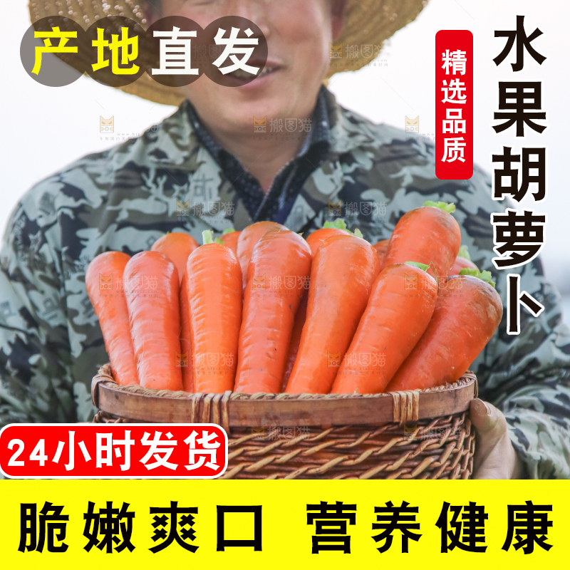 手里拿着胡萝卜