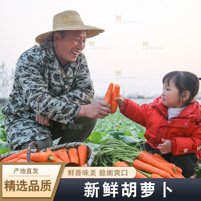 手里拿着胡萝卜