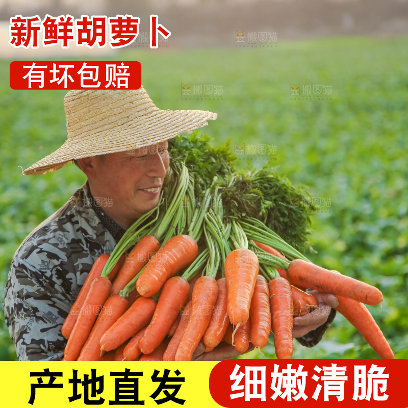 手里拿着胡萝卜