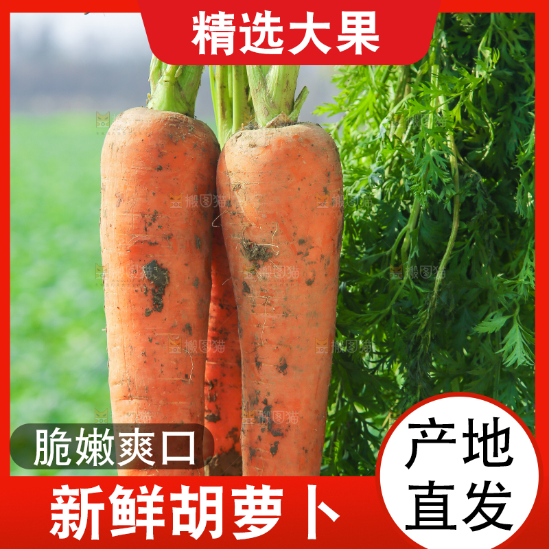 手里拿着胡萝卜