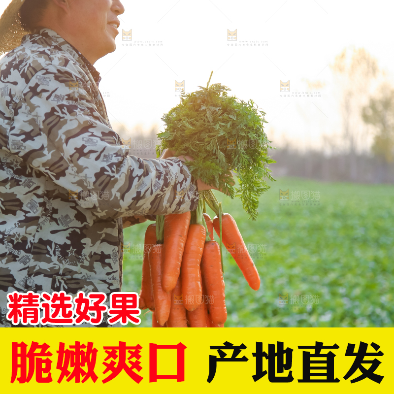 手里拿着胡萝卜