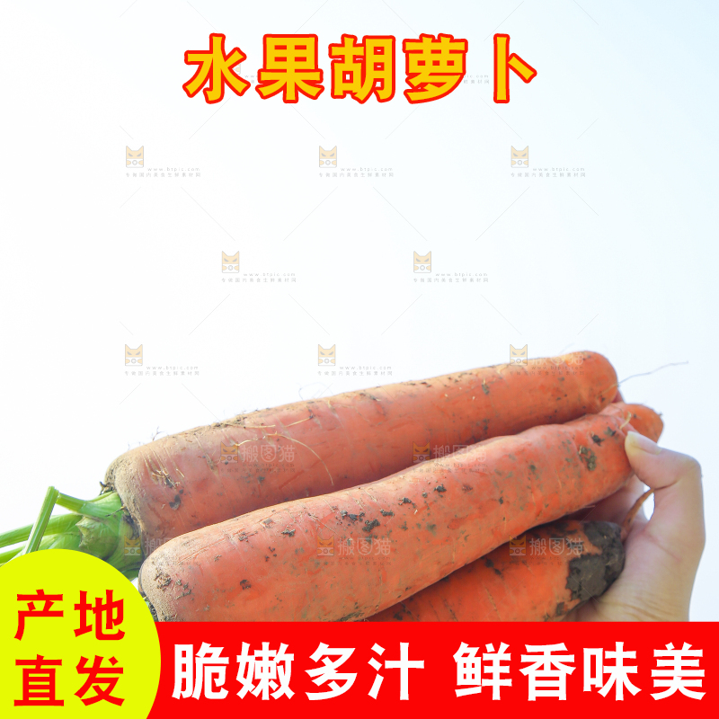 手里拿着胡萝卜
