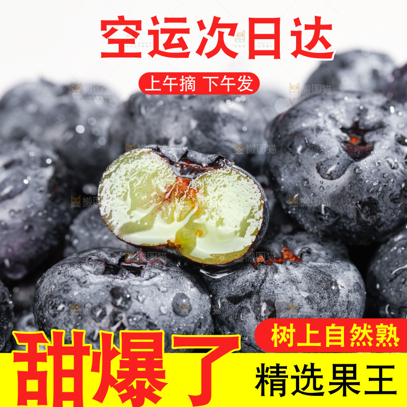 浅底上的新鲜蓝莓