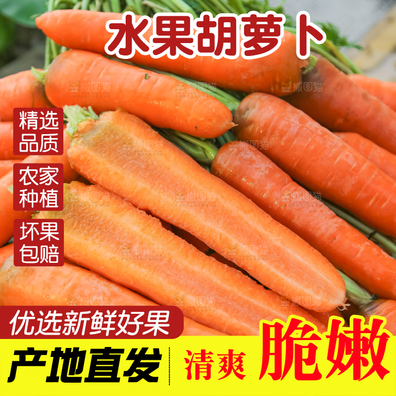 手里拿着胡萝卜