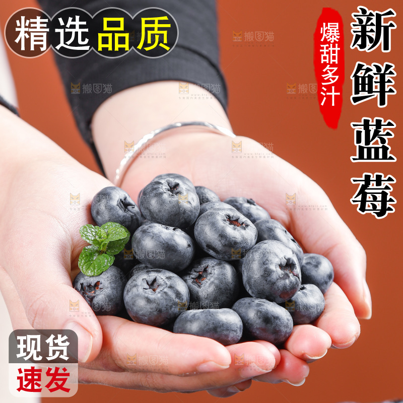 浅底上的新鲜蓝莓