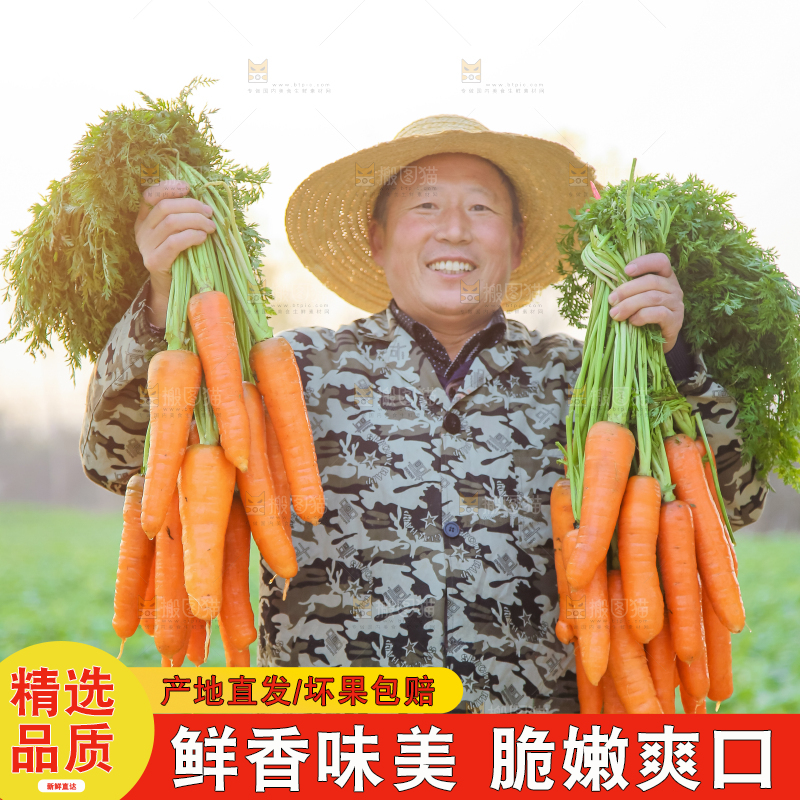 手里拿着胡萝卜