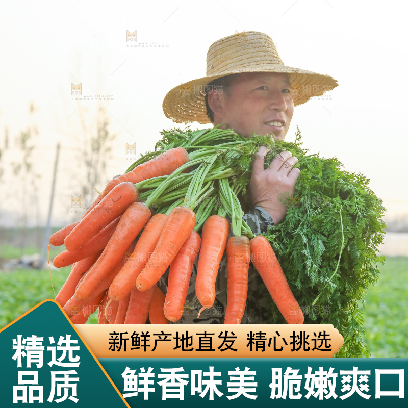 手里拿着胡萝卜