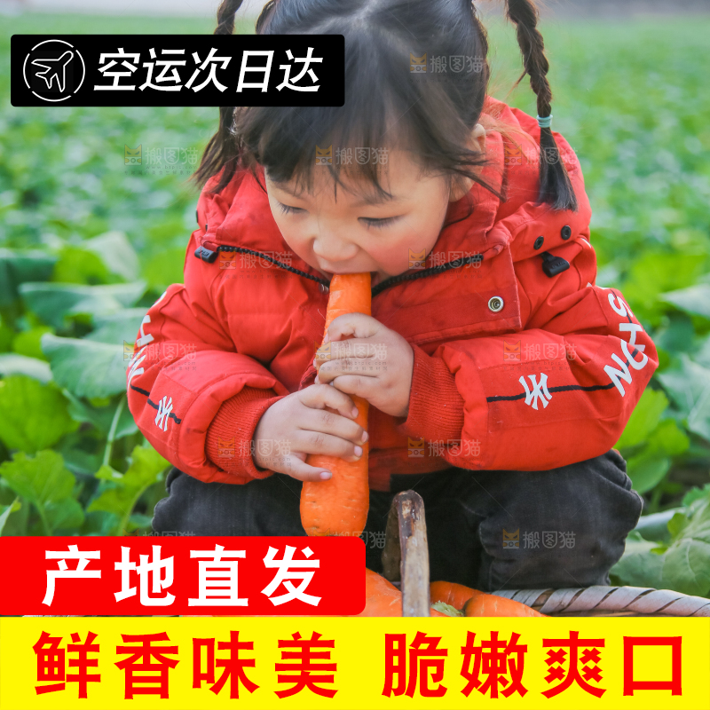 手里拿着胡萝卜
