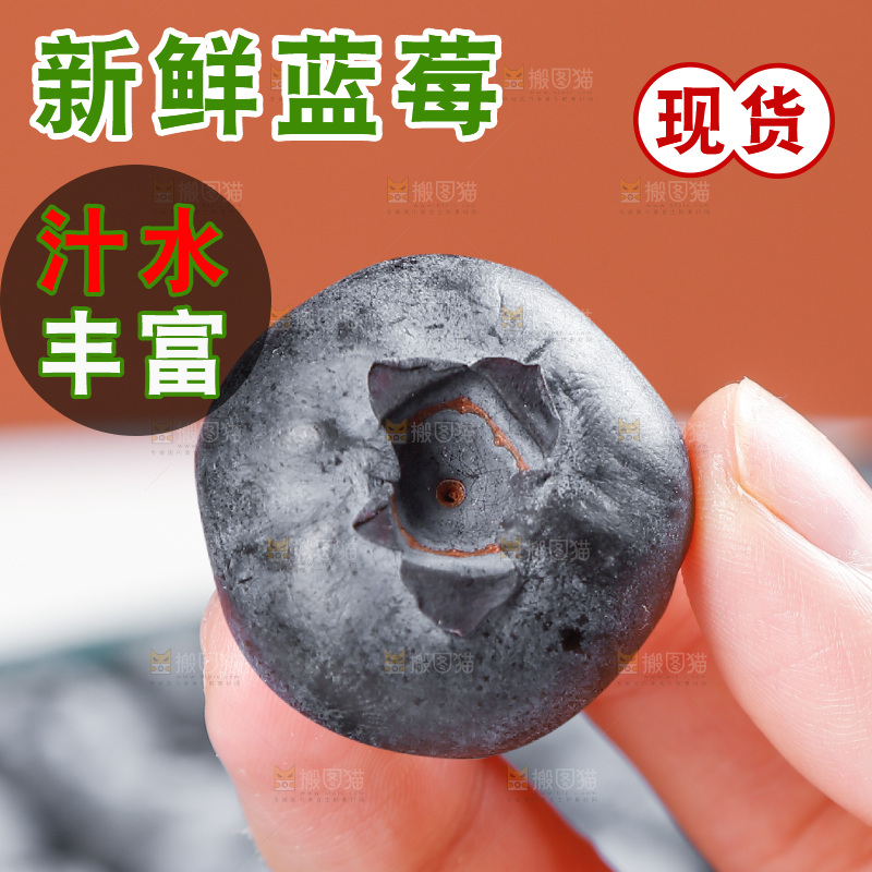 浅底上的新鲜蓝莓