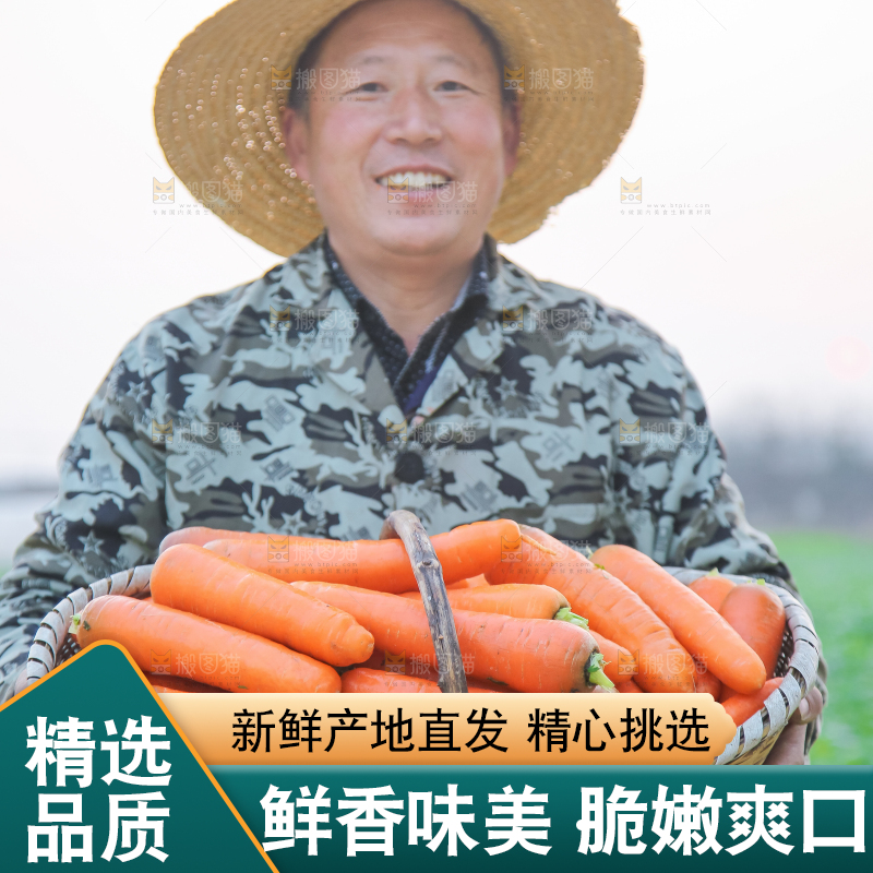手里拿着胡萝卜