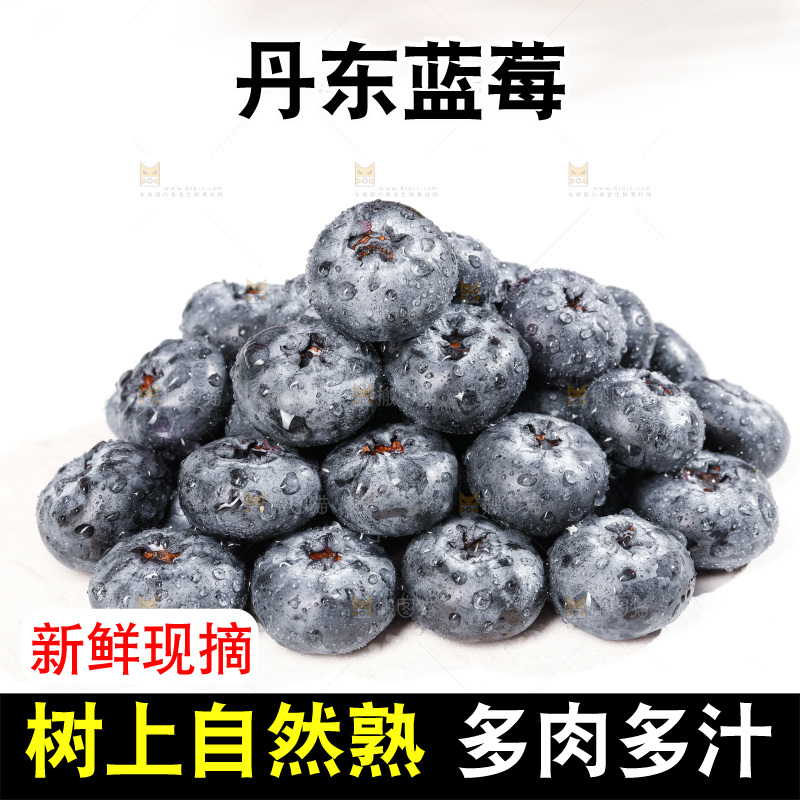 浅底上的新鲜蓝莓