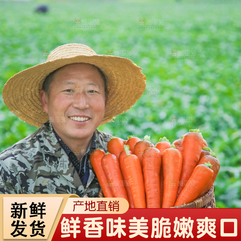 手里拿着胡萝卜