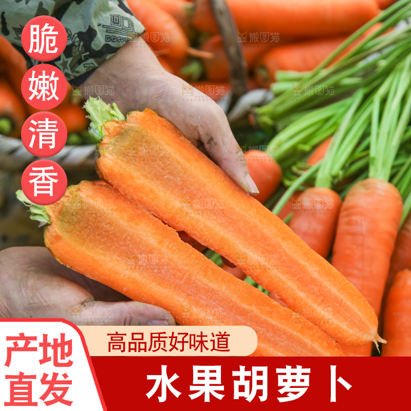 手里拿着胡萝卜
