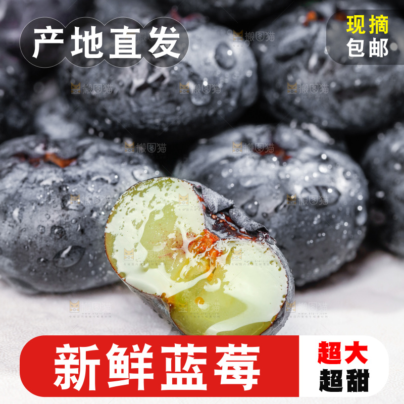 浅底上的新鲜蓝莓