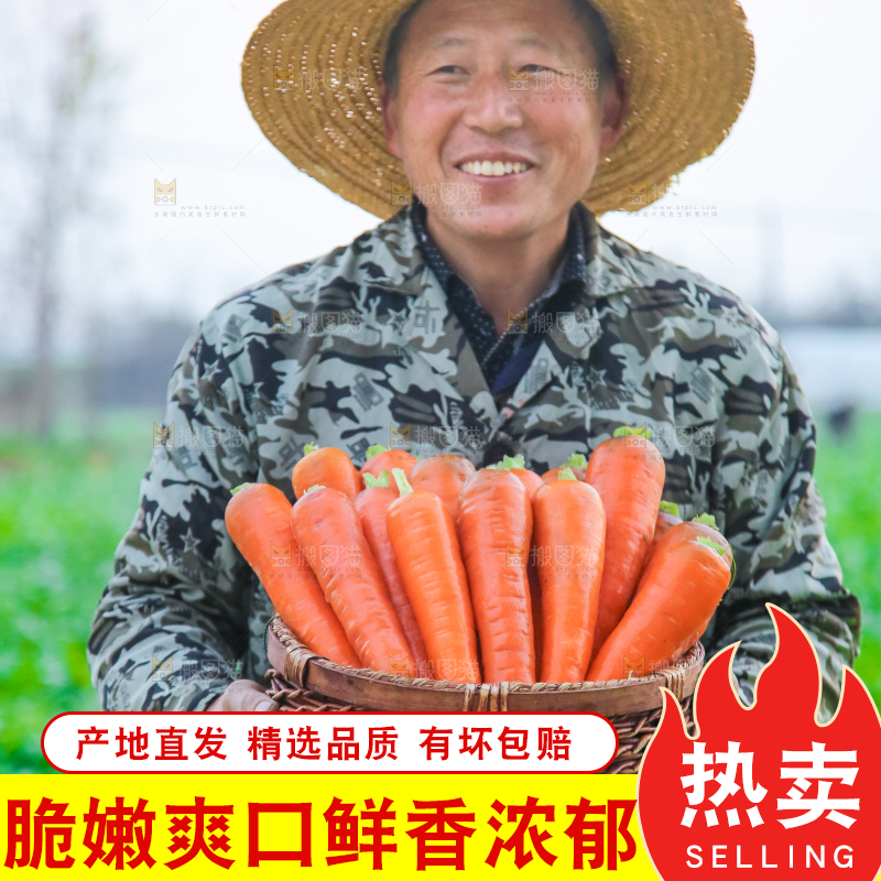 手里拿着胡萝卜