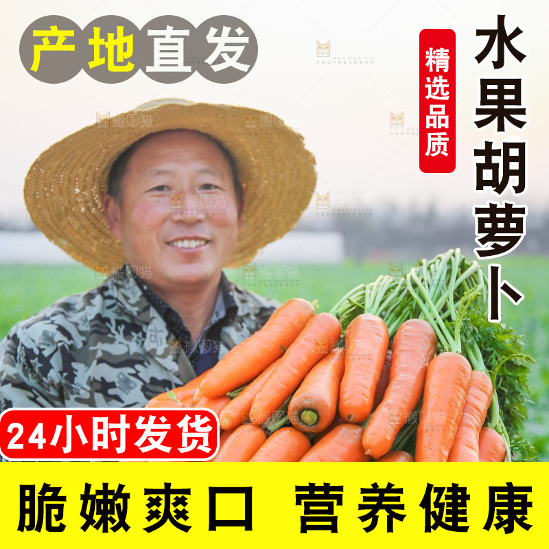手里拿着胡萝卜