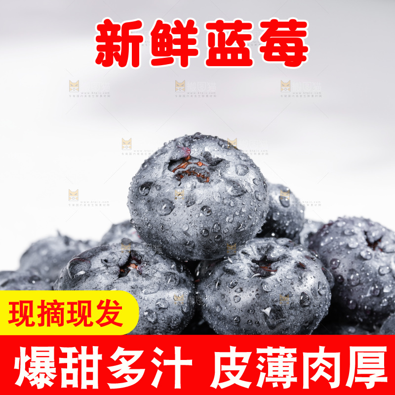 浅底上的新鲜蓝莓