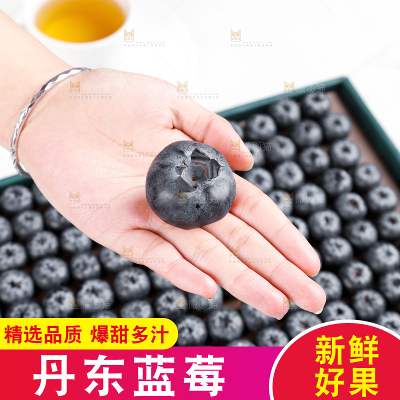 浅底上的新鲜蓝莓