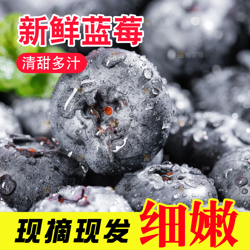 浅底上的新鲜蓝莓