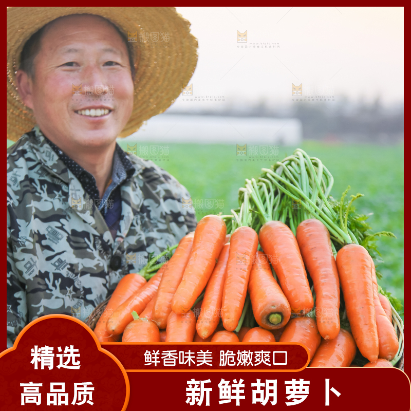 手里拿着胡萝卜
