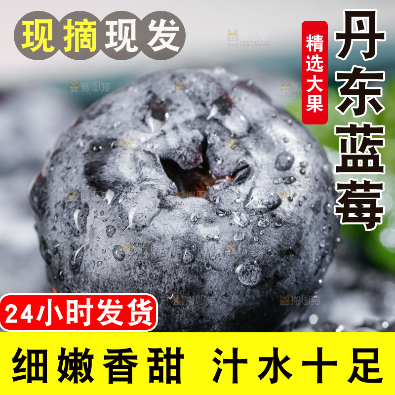 浅底上的新鲜蓝莓