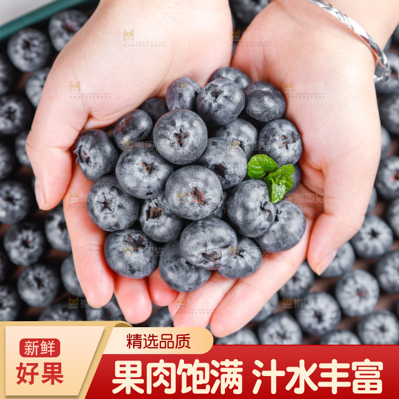 浅底上的新鲜蓝莓