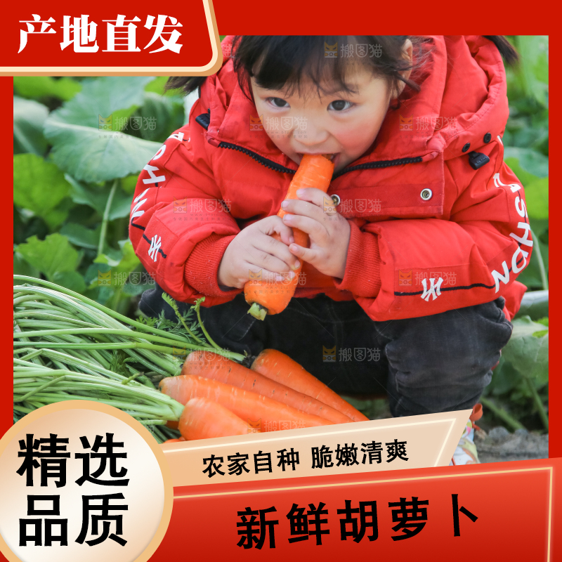 手里拿着胡萝卜