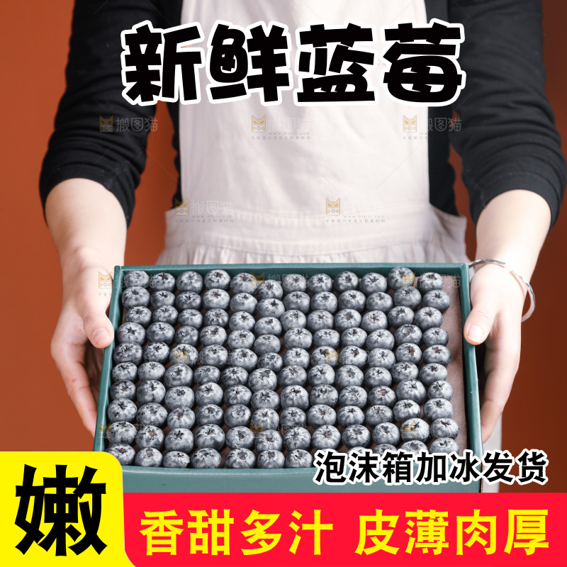 浅底上的新鲜蓝莓