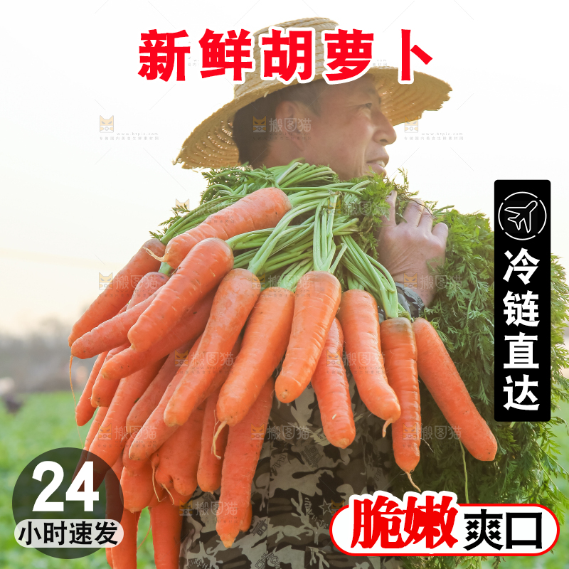 胡萝卜主图