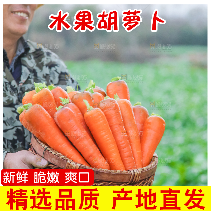 胡萝卜主图