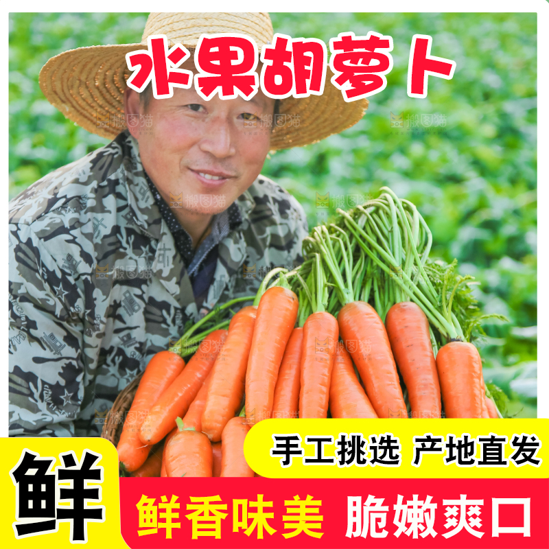 手里拿着胡萝卜