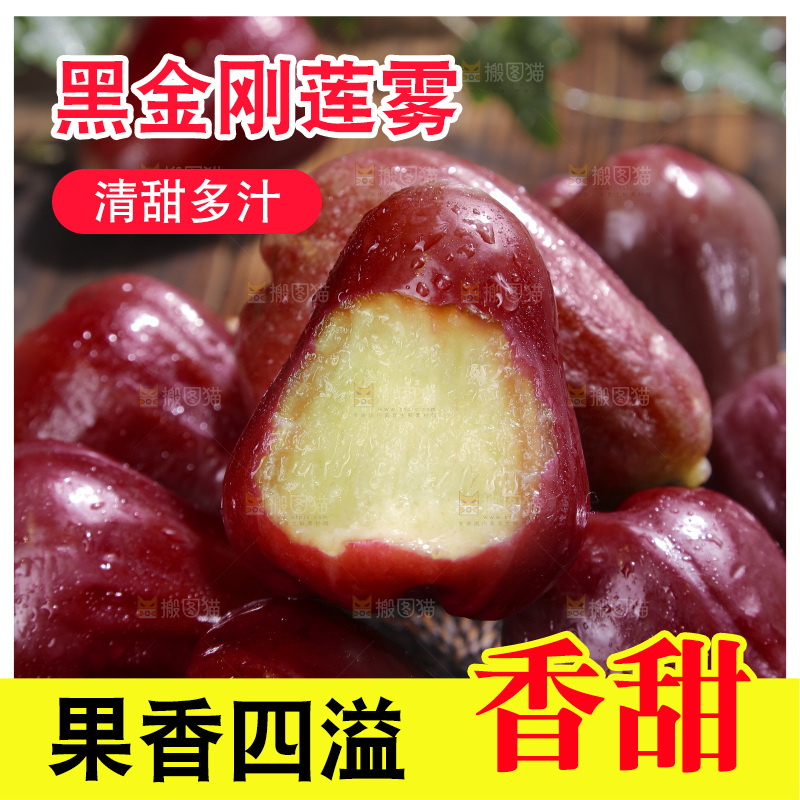 深底上的黑金刚莲雾