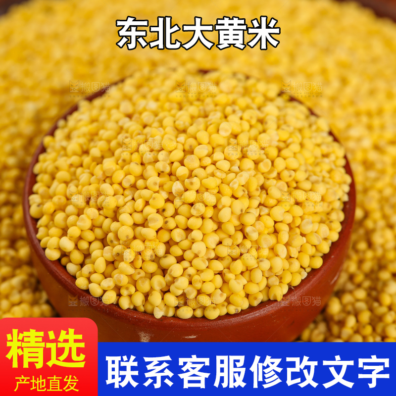 深底上的大黄米