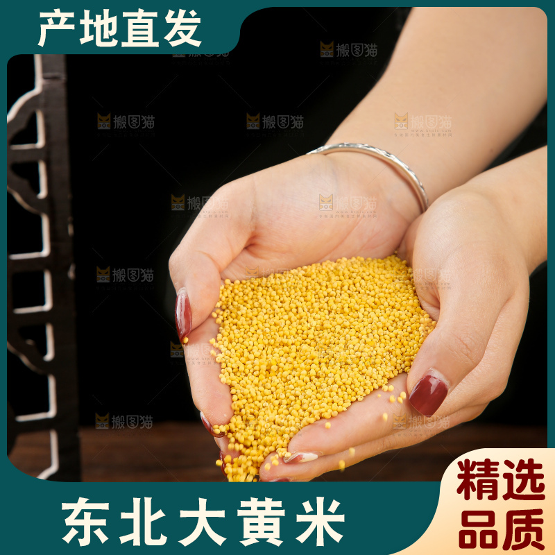 深底上的大黄米
