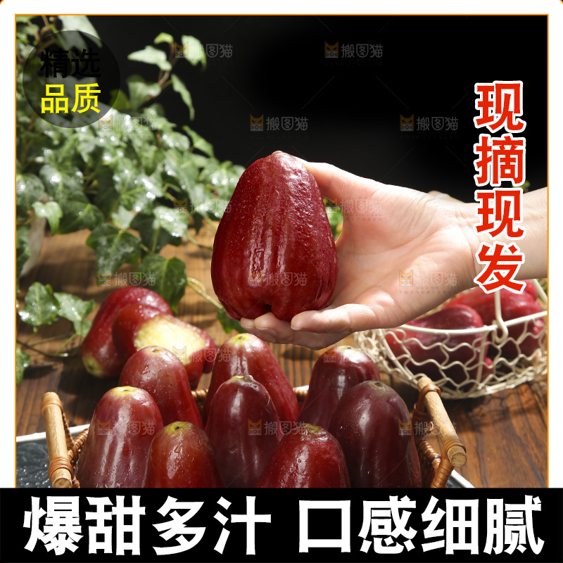 深底上的黑金刚莲雾