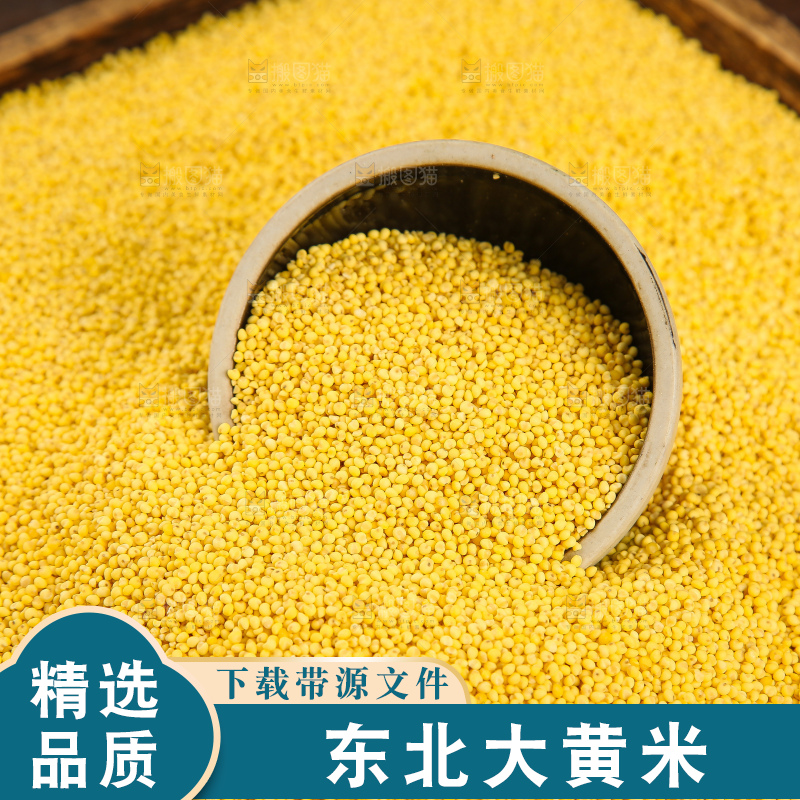 深底上的大黄米