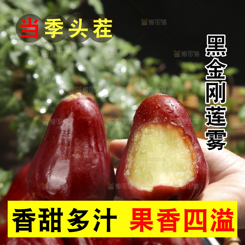 深底上的黑金刚莲雾