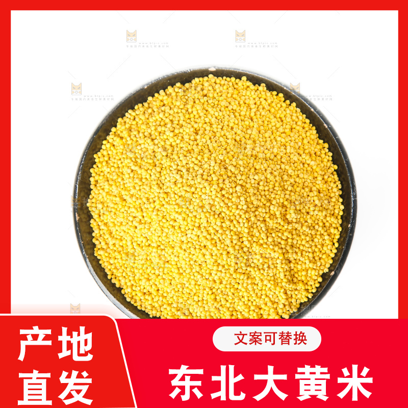 白底上的大黄米