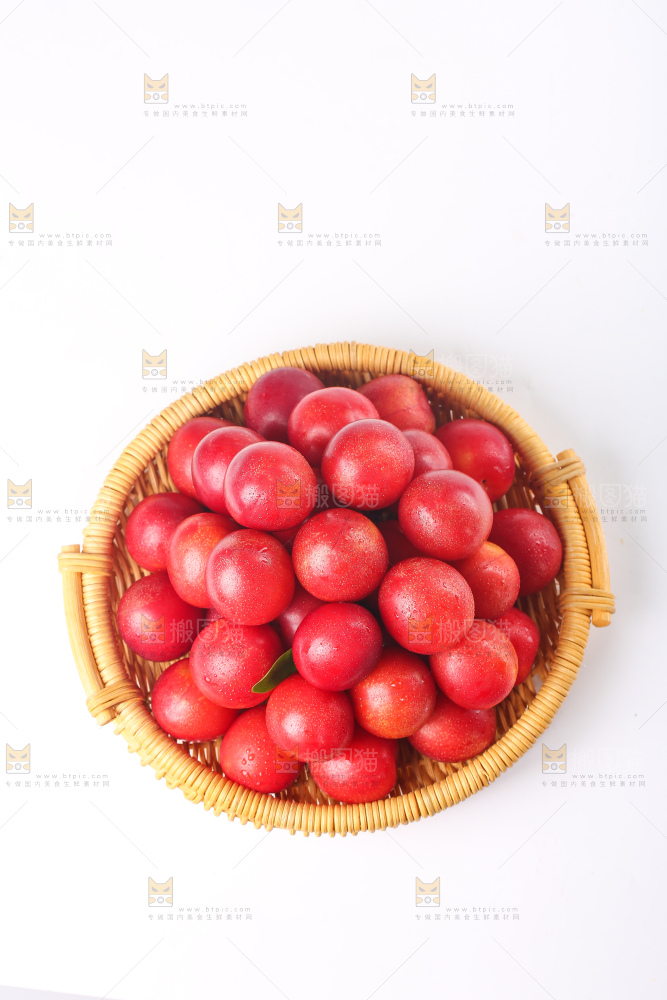 白底上的樱桃李