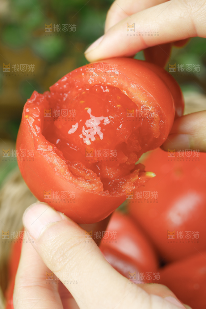 深底上的普罗旺斯西红柿